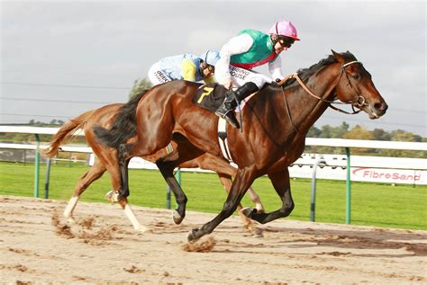 totalsportek horse racing|Horse Racing Videos .